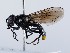 ( - ZMUO.066278)  @11 [ ] by-nc (2023) Marko Mutanen University of Oulu