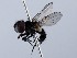  ( - ZMUO.066326)  @11 [ ] by-nc (2023) Marko Mutanen University of Oulu