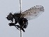  ( - ZMUO.066362)  @11 [ ] by-nc (2023) Marko Mutanen University of Oulu
