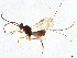  ( - BIOUG53988-E02)  @11 [ ] CreativeCommons - Attribution (2021) CBG Photography Group Centre for Biodiversity Genomics