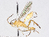  ( - BIOUG52724-H11)  @11 [ ] CreativeCommons - Attribution (2021) CBG Photography Group Centre for Biodiversity Genomics