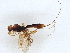  ( - BIOUG61418-A02)  @11 [ ] CreativeCommons - Attribution (2022) CBG Photography Group Centre for Biodiversity Genomics