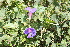  ( - IBO-DEMATT-02)  @11 [ ] Copyright (2014) IBONE IBONE