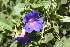  ( - IBO-DEMATT-02)  @11 [ ] Copyright (2014) IBONE IBONE