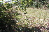  ( - IBO-DEMATT-31)  @11 [ ] Copyright (2014) IBONE IBONE