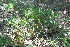  ( - IBO-DEMATT-39)  @11 [ ] Copyright (2014) IBONE IBONE