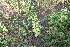  ( - IBO-DEMATT-63)  @11 [ ] Copyright (2014) IBONE IBONE