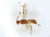  ( - BIOUG54533-F02)  @11 [ ] CreativeCommons - Attribution (2022) CBG Photography Group Centre for Biodiversity Genomics
