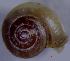  ( - AE_PUR_MR2)  @11 [ ] CCA (2024) University of Lodz Dept of Invertebrate Zoology and Hydrobiology, University of Lodz