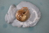  ( - MON_1210(1))  @11 [ ] CreativeCommons Attribution (2024) Dept of Invertebrate Zoology and Hydrobiology University of Lodz