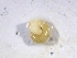  ( - VEXC_BAW(1))  @11 [ ] CreativeCommons Attribution (2024) Dept of Invertebrate Zoology and Hydrobiology University of Lodz