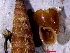  ( - VRA4)  @11 [ ] CCA (2024) University of Lodz Dept of Invertebrate Zoology and Hydrobiology, University of Lodz