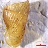  ( - VG8)  @11 [ ] CCA (2024) University of Lodz Dept of Invertebrate Zoology and Hydrobiology, University of Lodz