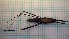  ( - HETPOL_64)  @11 [ ] CreativeCommons - Attribution Non-Commercial No Derivatives (2020) Sylwia Wozniak University of Lodz, Faculty of Biology and Environmental Protection