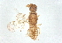  ( - BIOUG61451-C07)  @11 [ ] CreativeCommons - Attribution (2022) CBG Photography Group Centre for Biodiversity Genomics