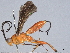  ( - BIOUG55225-C08)  @11 [ ] CreativeCommons - Attribution (2021) CBG Photography Group Centre for Biodiversity Genomics