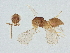  ( - BIOUG56050-B07)  @11 [ ] CreativeCommons - Attribution (2022) CBG Photography Group Centre for Biodiversity Genomics