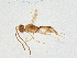  ( - BIOUG55875-B11)  @11 [ ] CreativeCommons - Attribution (2021) CBG Photography Group Centre for Biodiversity Genomics