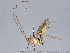 ( - BIOUG55296-H06)  @11 [ ] CreativeCommons - Attribution (2021) CBG Photography Group Centre for Biodiversity Genomics