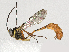  ( - BIOUG55303-H09)  @11 [ ] CreativeCommons - Attribution (2024) CBG Photography Group Centre for Biodiversity Genomics