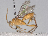  ( - BIOUG55345-G12)  @11 [ ] CreativeCommons - Attribution (2021) CBG Photography Group Centre for Biodiversity Genomics