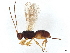  ( - BIOUG55510-D05)  @11 [ ] CreativeCommons - Attribution (2022) CBG Photography Group Centre for Biodiversity Genomics