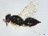  ( - BIOUG61371-F07)  @11 [ ] CreativeCommons - Attribution (2022) CBG Photography Group Centre for Biodiversity Genomics