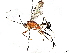 (Diradops Janzen1952 - BIOUG62340-A05)  @11 [ ] CreativeCommons - Attribution (2022) CBG Photography Group Centre for Biodiversity Genomics