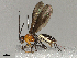  ( - BIOUG62702-A01)  @11 [ ] CreativeCommons - Attribution Share-Alike (2024) CBG Photography Group Centre for Biodiversity Genomics