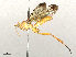  ( - BIOUG62707-G06)  @11 [ ] CreativeCommons - Attribution Share-Alike (2024) CBG Photography Group Centre for Biodiversity Genomics