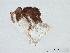  ( - BIOUG55565-D11)  @11 [ ] CreativeCommons - Attribution (2022) CBG Photography Group Centre for Biodiversity Genomics