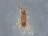  ( - BIOUG56631-B11)  @11 [ ] CreativeCommons - Attribution (2022) CBG Photography Group Centre for Biodiversity Genomics