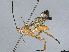 ( - BIOUG55332-G06)  @11 [ ] CreativeCommons - Attribution (2021) CBG Photography Group Centre for Biodiversity Genomics