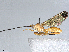  ( - BIOUG53753-A09)  @11 [ ] CreativeCommons - Attribution (2021) CBG Photography Group Centre for Biodiversity Genomics