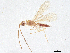  ( - BIOUG55686-E06)  @11 [ ] CreativeCommons - Attribution (2021) CBG Photography Group Centre for Biodiversity Genomics