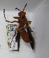  ( - PMAE0004)  @13 [ ] Unspecified (default): All Rights Reserved  Unspecified Unspecified