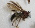  ( - PMAE0019)  @12 [ ] Unspecified (default): All Rights Reserved  Unspecified Unspecified