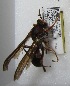  ( - PMAE0021)  @12 [ ] Unspecified (default): All Rights Reserved  Unspecified Unspecified