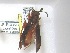  ( - PMAE0061)  @13 [ ] Unspecified (default): All Rights Reserved  Unspecified Unspecified