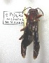  ( - PMAE0069)  @12 [ ] Unspecified (default): All Rights Reserved  Unspecified Unspecified