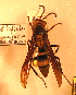  ( - PMAE0099)  @13 [ ] Unspecified (default): All Rights Reserved  Unspecified Unspecified