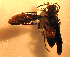  ( - PMAE0126)  @13 [ ] Unspecified (default): All Rights Reserved  Unspecified Unspecified
