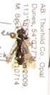  (Aporinellus taeniolatus - PMAE0231)  @11 [ ] Unspecified (default): All Rights Reserved  Unspecified Unspecified