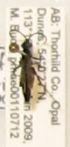  (Anoplius stenotus - PMAE0235)  @11 [ ] Unspecified (default): All Rights Reserved  Unspecified Unspecified