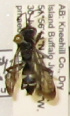  ( - PMAE0257)  @11 [ ] Unspecified (default): All Rights Reserved  Unspecified Unspecified