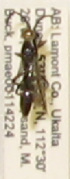  ( - PMAE0259)  @12 [ ] Unspecified (default): All Rights Reserved  Unspecified Unspecified