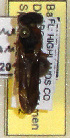  ( - PMAE0312)  @11 [ ] Unspecified (default): All Rights Reserved  Unspecified Unspecified