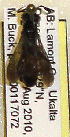  ( - PMAE0346)  @12 [ ] Unspecified (default): All Rights Reserved  Unspecified Unspecified