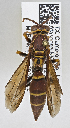  ( - PMAE0716)  @12 [ ] CreativeCommons - Attribution Non-Commercial Share-Alike (2019) Royal Alberta Museum Royal Alberta Museum
