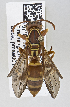  ( - PMAE0718)  @13 [ ] CreativeCommons - Attribution Non-Commercial Share-Alike (2019) Royal Alberta Museum Royal Alberta Museum